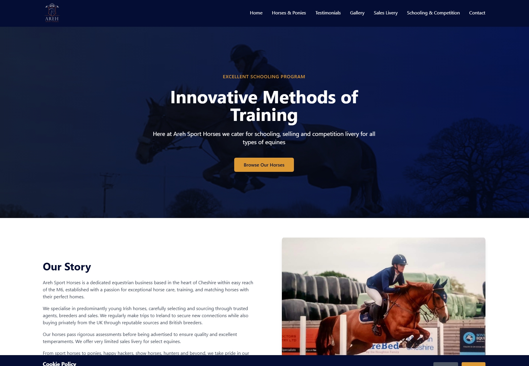 Areh Sport Horses website screenshot